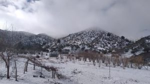 بارش برف در ارتفاعات دهستان کوهشاه احمدی