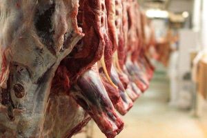 عرضه گوشت تنظیم بازاری وارداتی به زودی در سراسر کشور
